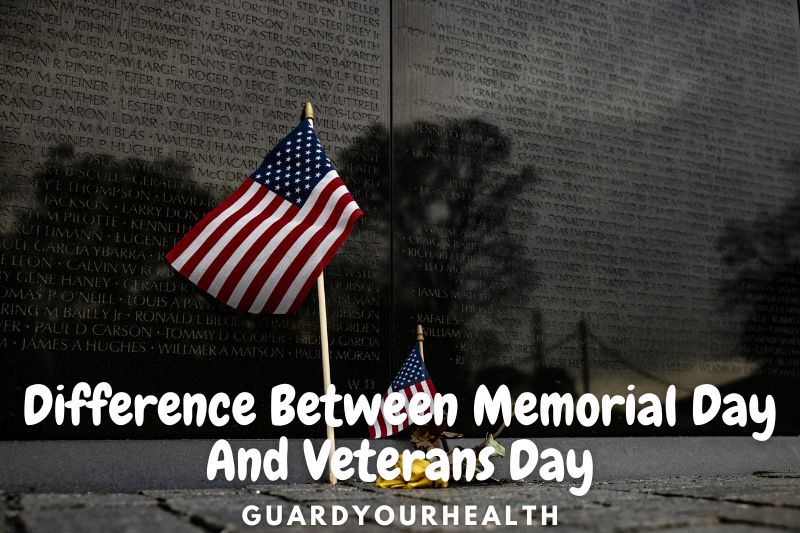 Difference Between Memorial Day And Veterans Day 2022
