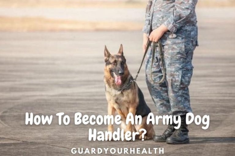 How To An Army Dog Handler & A K9 Police Office 2022?