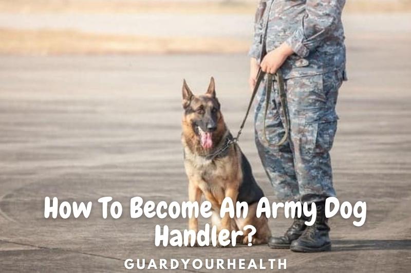 How To Become An Army Dog Handler Top Full Guide