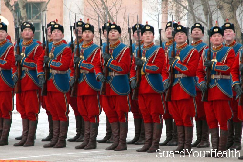 Mongolia army