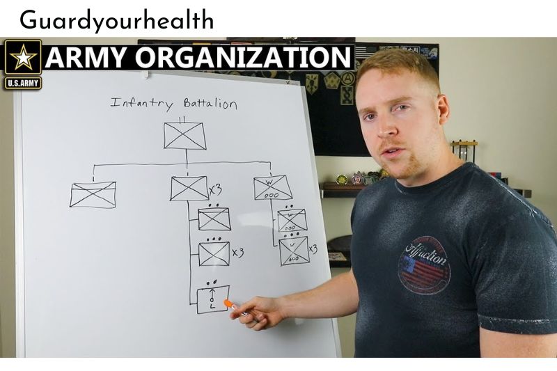 Organization