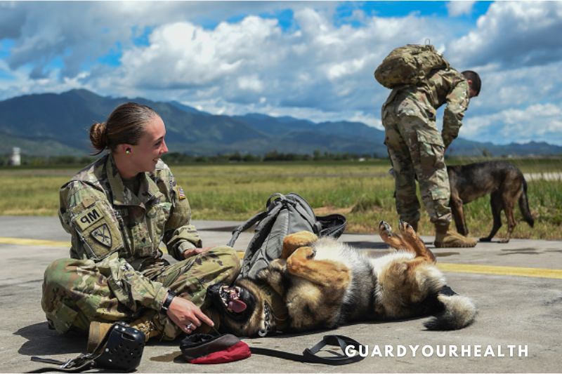 How To Become An Army Dog Handler 