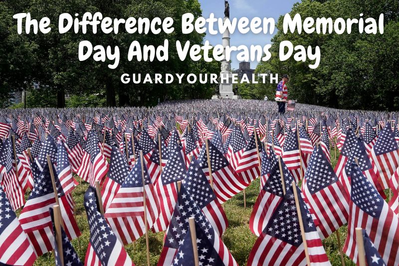 The Difference Between Memorial Day And Veterans Day