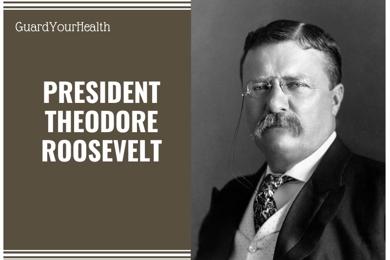 President Theodore Roosevelt