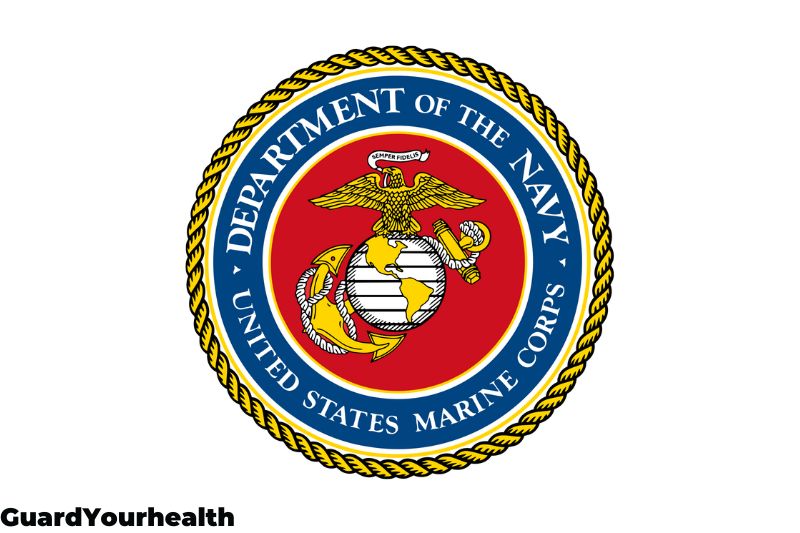 U.S Navy Branches